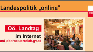 Landtag-online.png